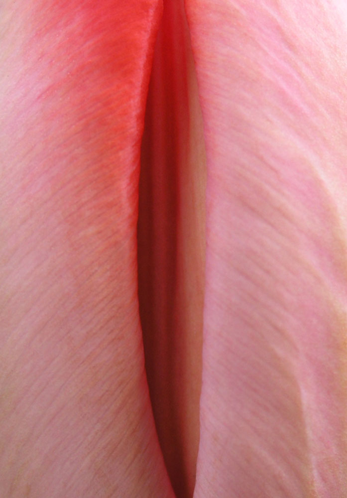 Přečtete si více ze článku Orgasmus / Orgasm